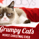 Illustration for article titled No, Grumpy Cat Is Not Worth $100 Million
